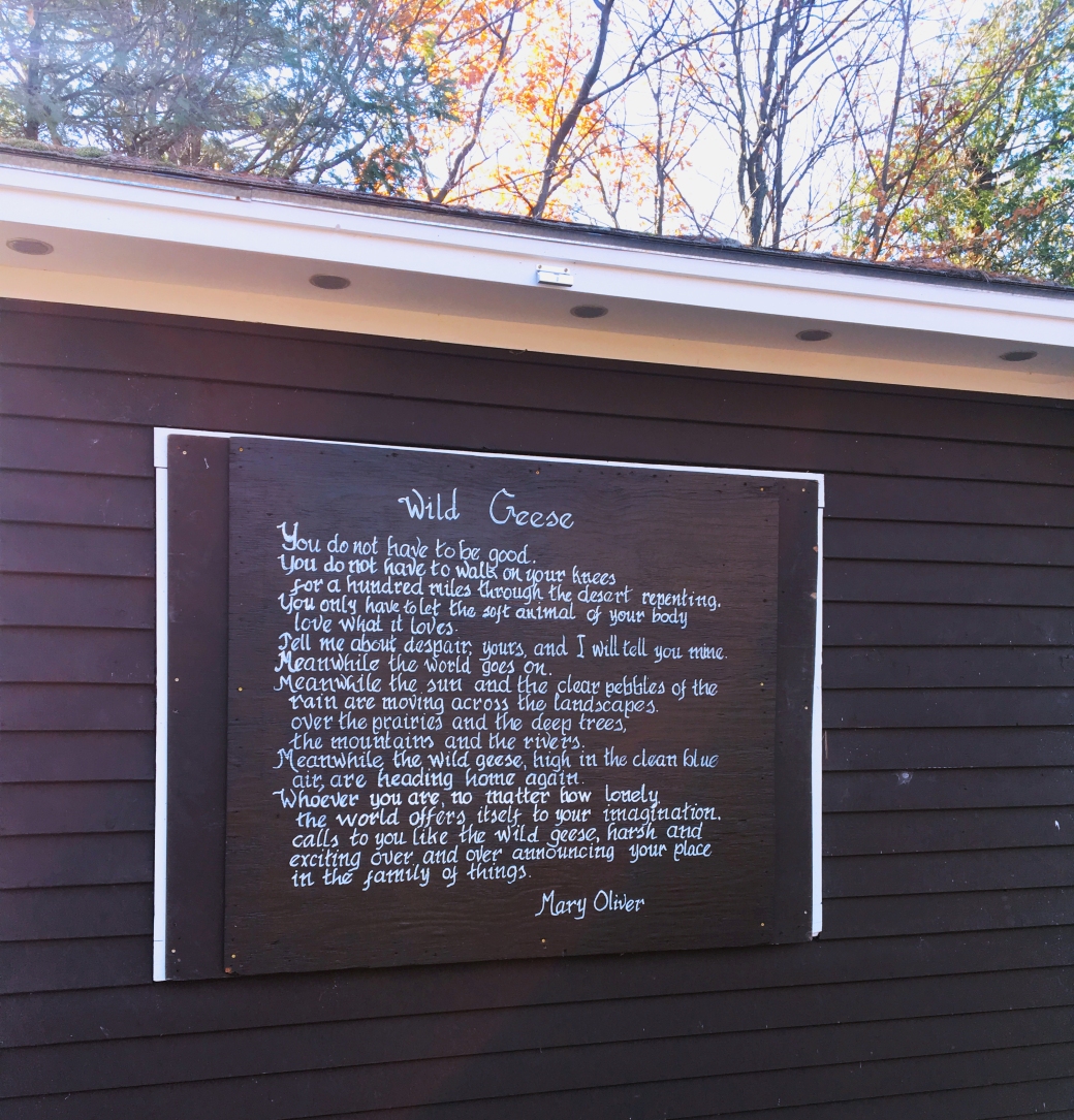 Mary Oliver's poem Wild Geese atop Mt. Philo in Vermont via FrolickingAround.com